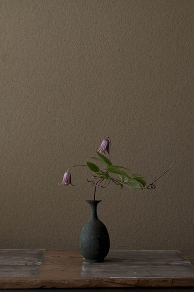《一日一花》20