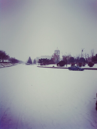 风景。雪。钟楼。广场。松树。滤镜。治愈。壁纸。