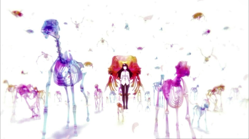 樱子小姐的脚下埋藏着尸体