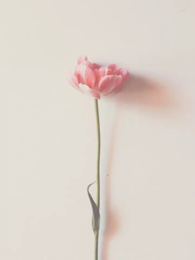 别人做得越绝，你反而越容易走得出去。所以很多时候，你应该感激那些毫不顾及你的人。哀莫大于心不死，幸莫过于死彻底。 谢谢，让我学会爱，更学会爱自己。