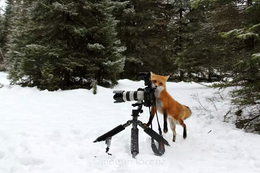 给女盆友拍雪景写真才是正经事～