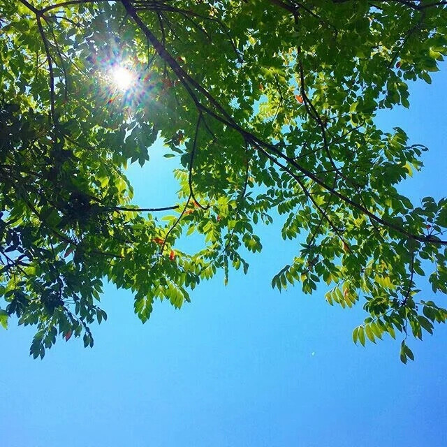 主页壁纸 风景 摄影 杂物志