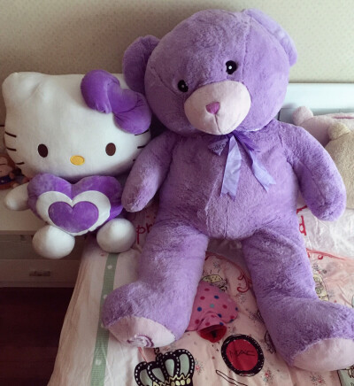 紫色 熊 Kitty