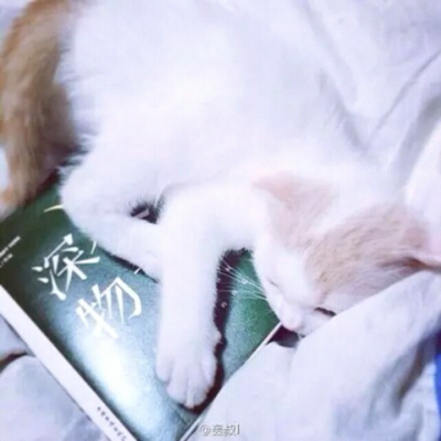 轰叔《深夜物语》。