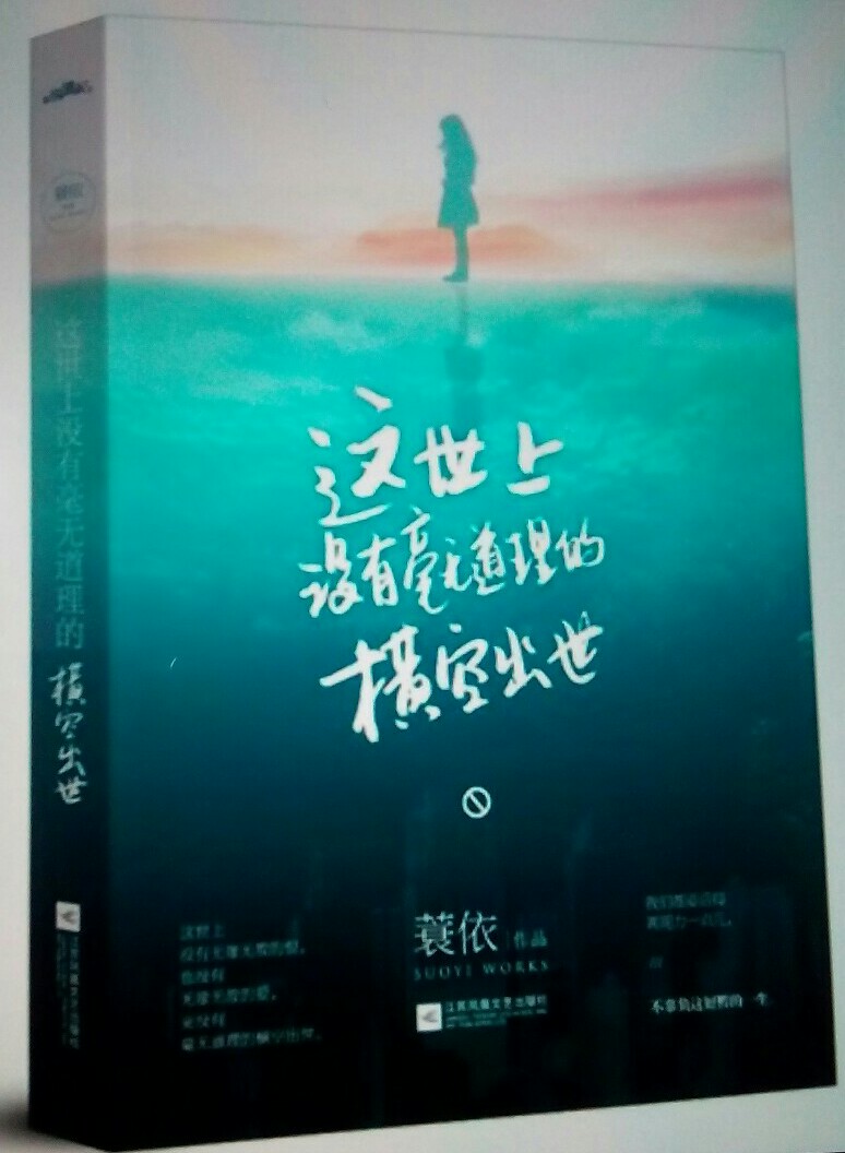 《这世上没有毫无道理的横空出世》是蓑依创作的一部励志散文集，也是一本讲诉“普通人如何横空出世”的书