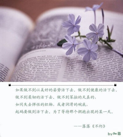 勵志系列之十九:讀一本自己喜歡卻未讀的書 看的是書，讀的卻是世界；沏的是茶，嘗的卻是生活。一書一茗，發(fā)絲輕揚間，笑看花開花落。