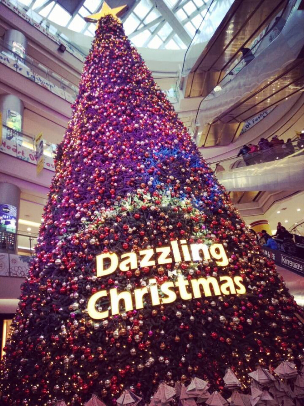 好大的圣诞树