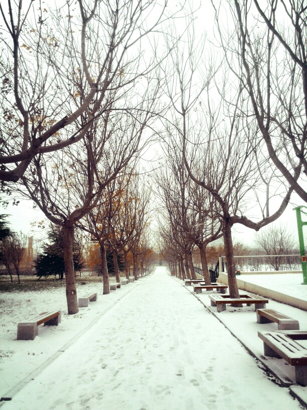 第一场雪，超级美，雪花好大片。