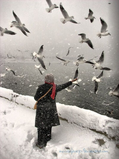 #大雪这天# 去一个心驰且神往的地方 冬日祁寒 来自我就是熊娃儿的新浪微博