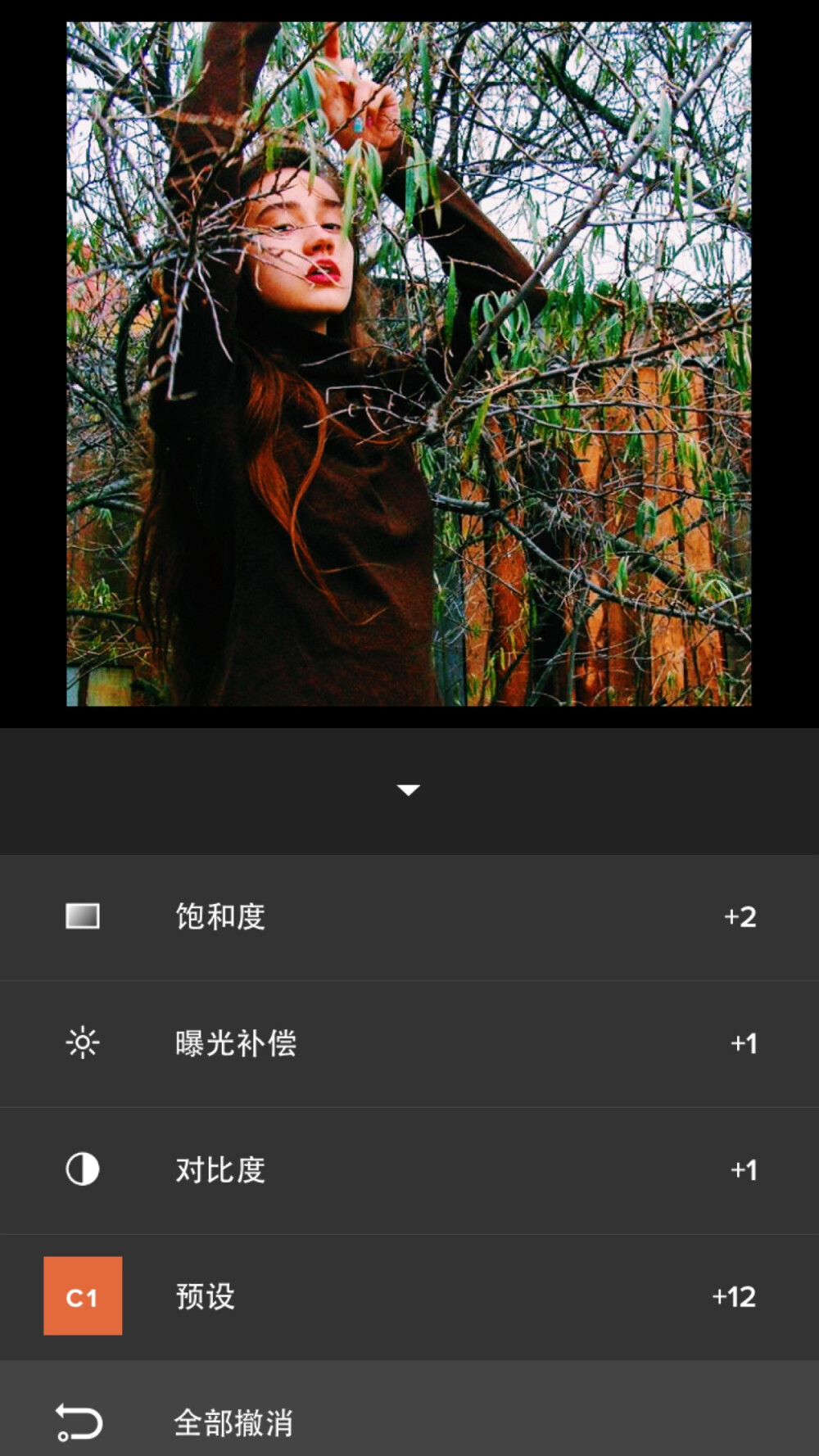 VSCO调色 步骤：预设C1+12 对比度+1 曝光补偿+1 饱和度+2