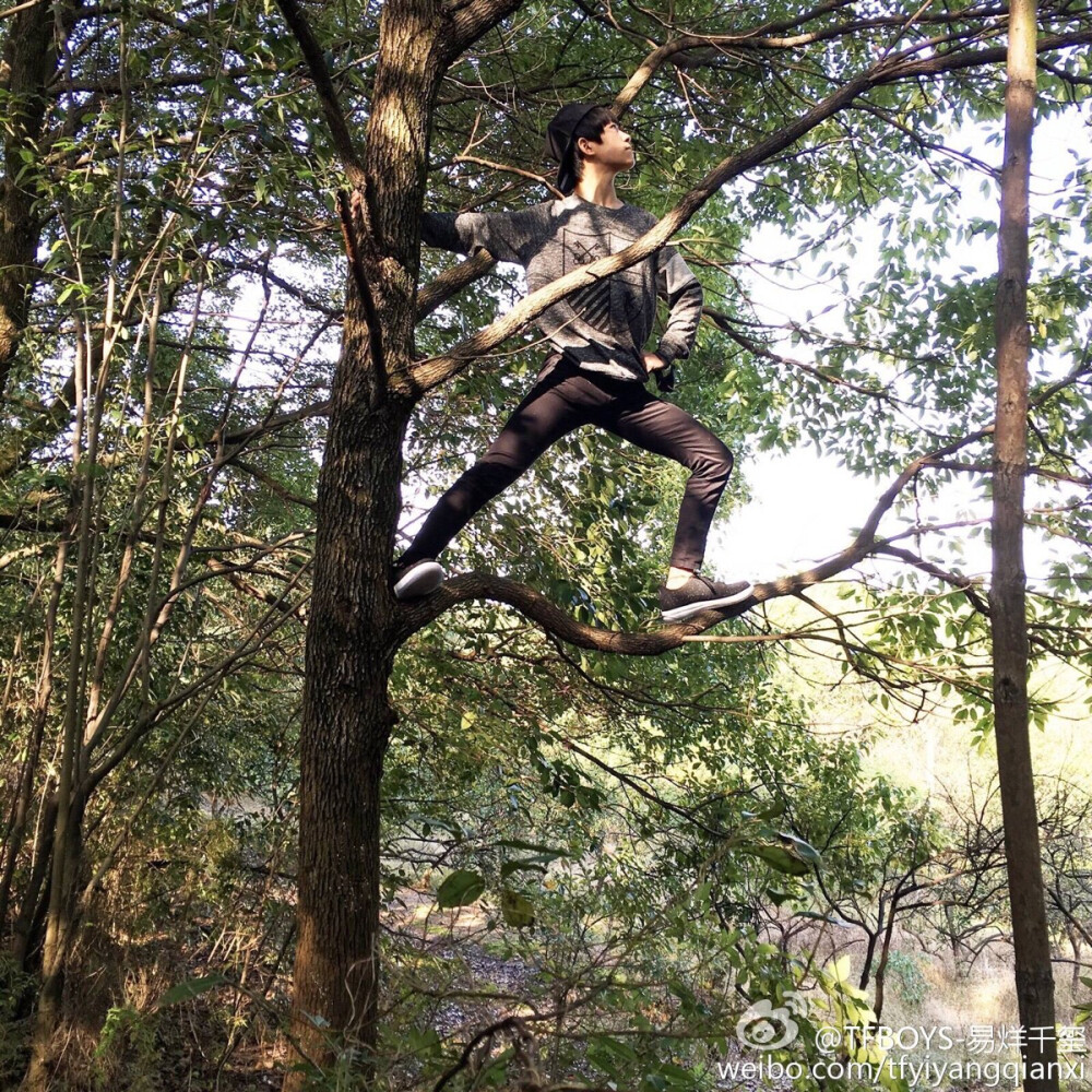 TFBOYS易烊千玺 【微博更新】易大王叫我来巡山