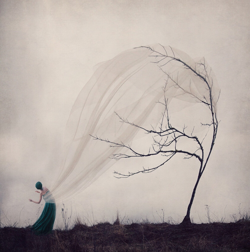 Kylli Sparre | 梦幻般的想象力