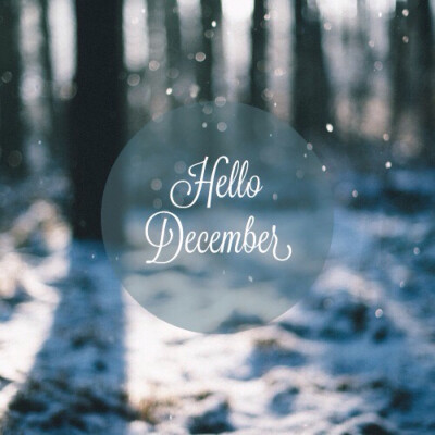 Hello,December.你好，十二月。壁纸 插画 素材 唯美 拍摄 文字