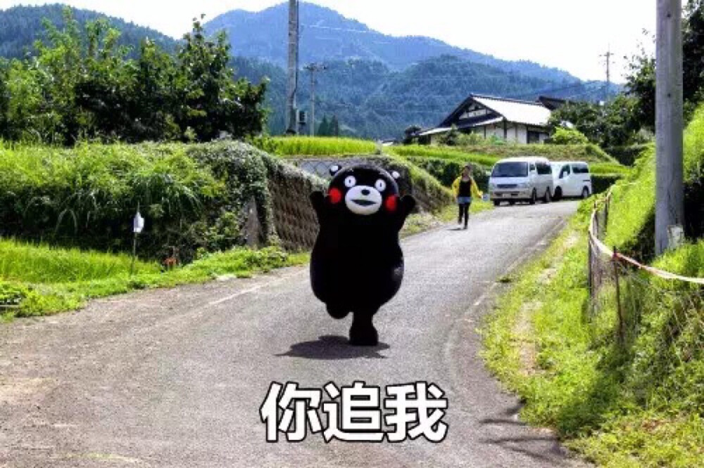 熊本熊 kumamon 你追我