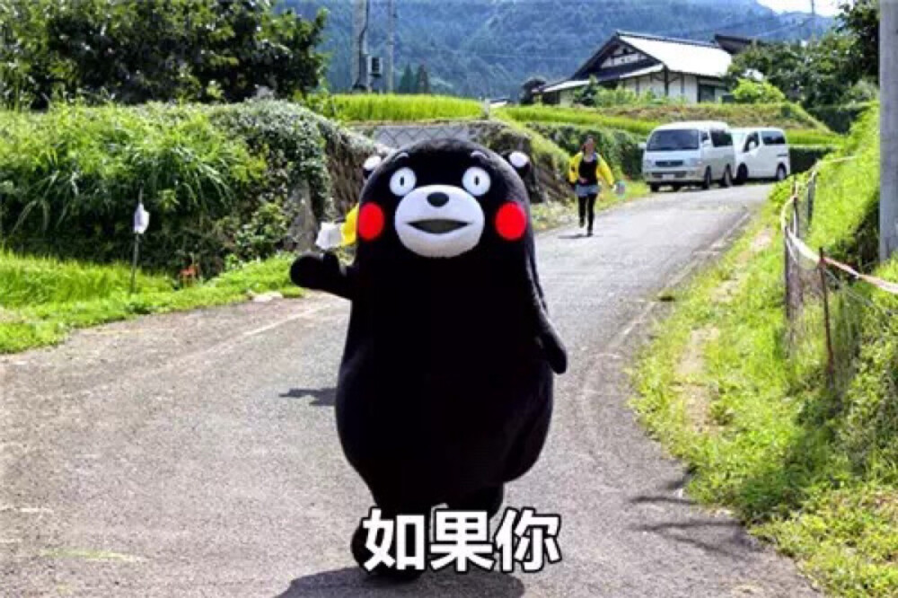 熊本熊 kumamon 如果你