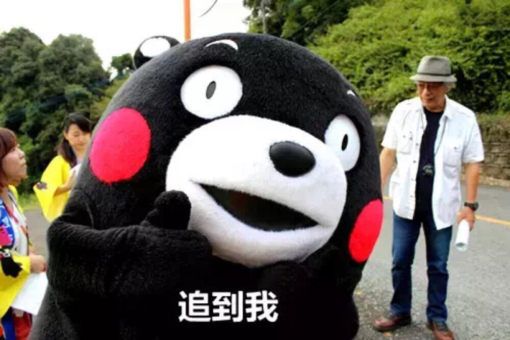 熊本熊 kumamon 追到我