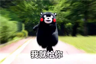 熊本熊 kumamon 我就给你