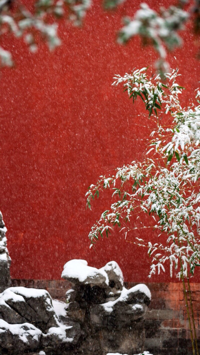 故宫雪景