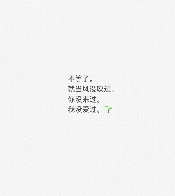 不等了 就当你没来过 我没喜欢过。