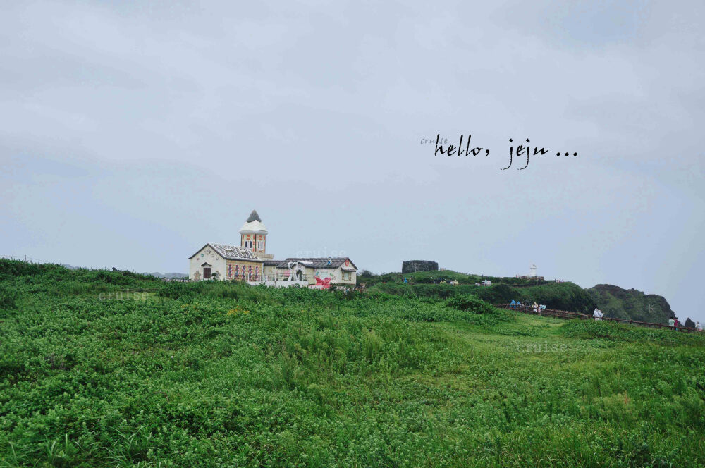 【cruise】hello，jeju …