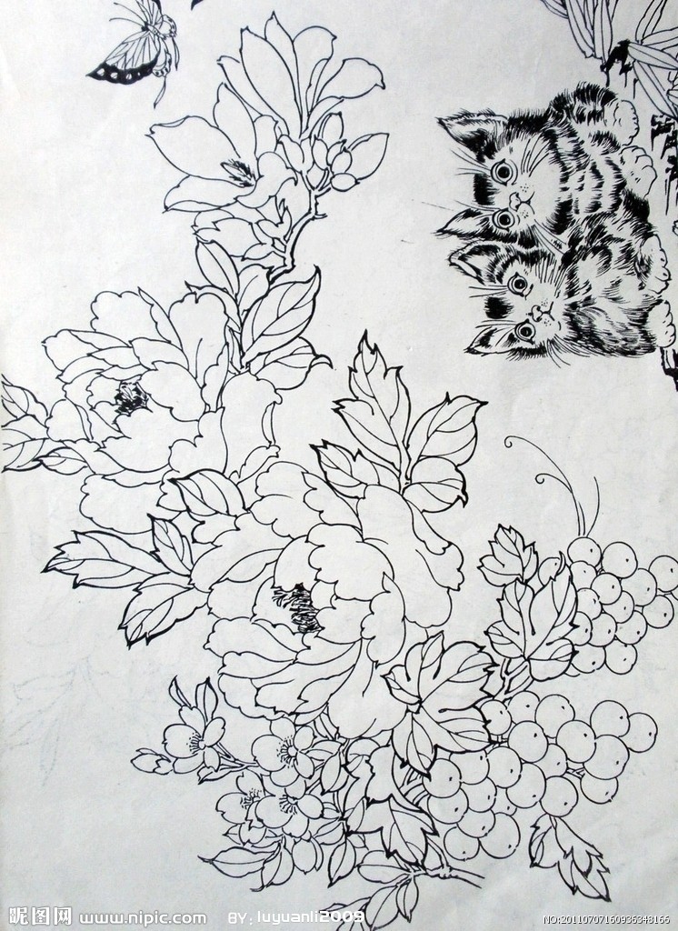白描 传统 中国风 牡丹 国画 工笔 水墨 绘画书法 文化艺术