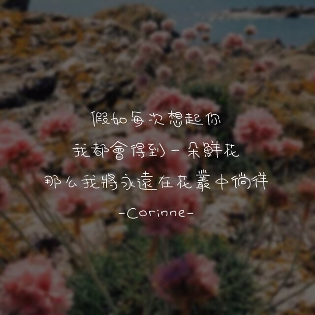 自制 原创 头像 文字 语录 語錄控 封面 #有instagram的可以follow我哦～
#quotes_haruya_corinne_0427 我的instagram是做语录的科科