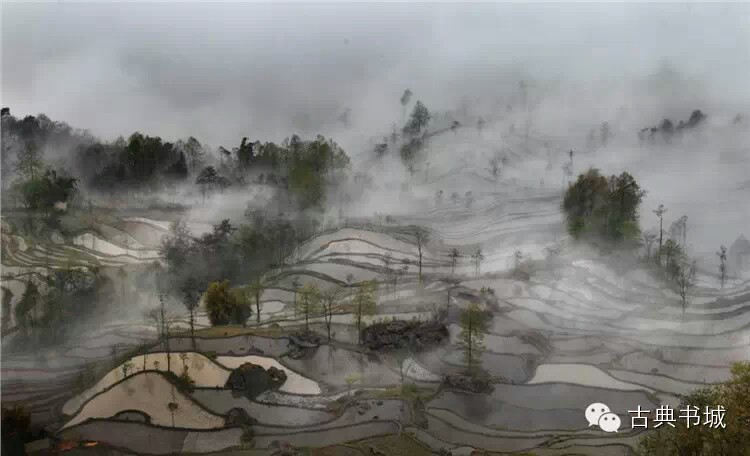 沟壑梯田林木静；眼底烟景本是诗。