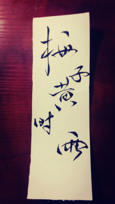 临摹:梅子黄时雨