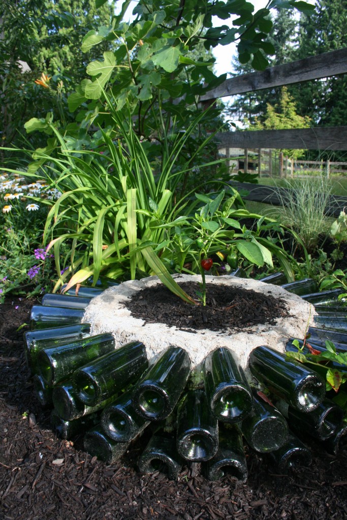 酒瓶DIY系列用法4：圈起酒瓶为喜欢温暖气候的植物提供自制地热