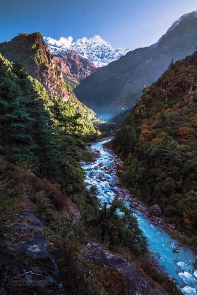 山谷 溪流