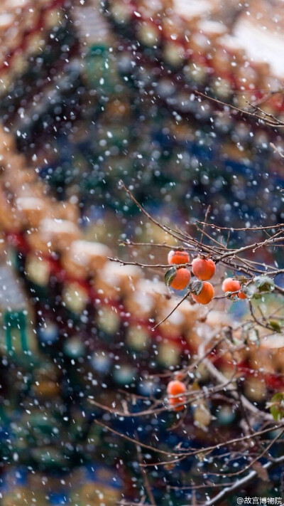 故宫 雪