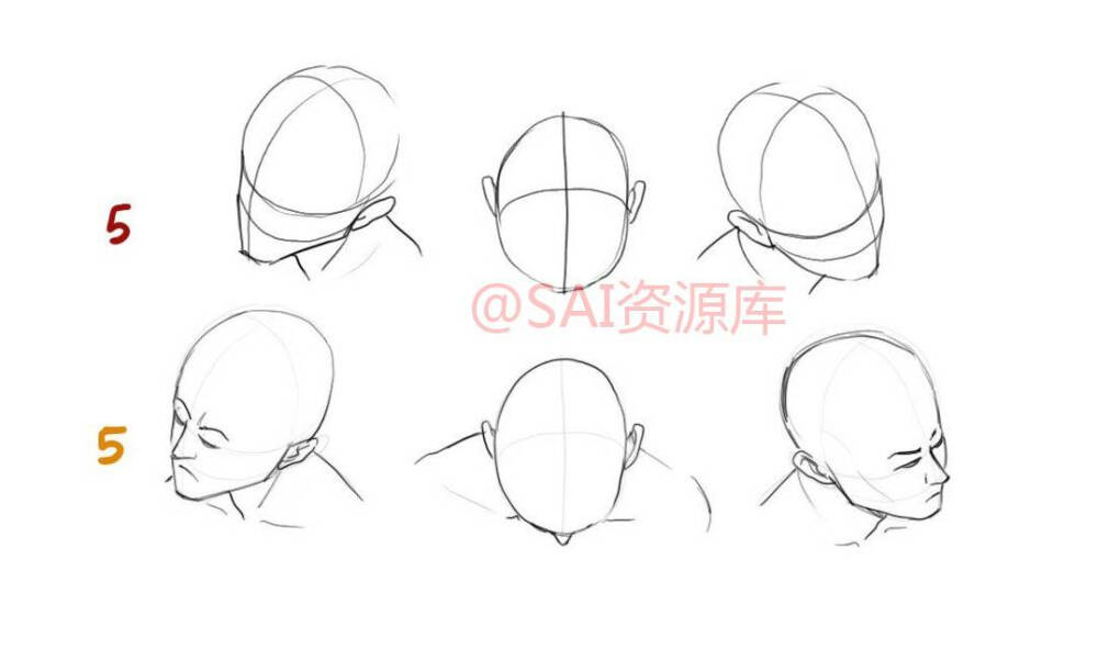 人体 头 线稿 各个角度 结构 面部