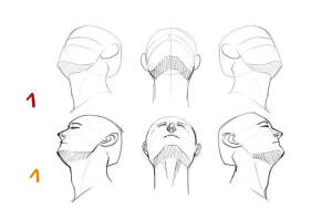 人体  头 线稿  各个角度  结构 面部