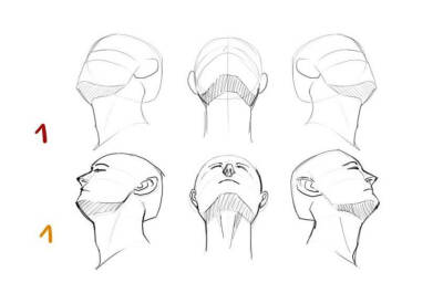 人体 头 线稿 各个角度 结构 面部