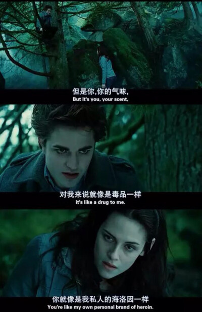 暮光之城 吸血鬼 爱德华&amp;amp;贝拉❤❤电影台词