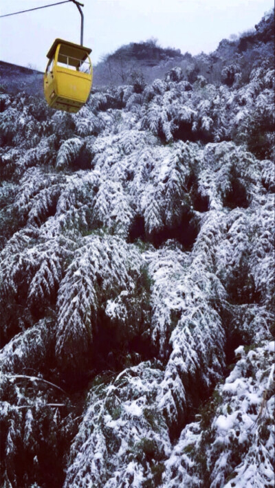 南山飘雪了