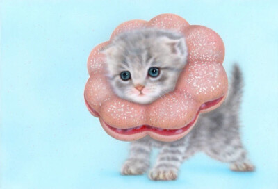 画师笔下的喵星人萌~~~要萌哭我了