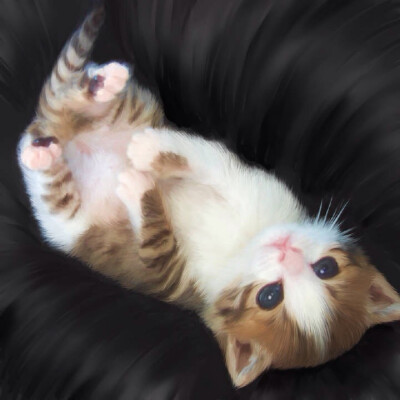 画师笔下的喵星人萌~~~要萌哭我了