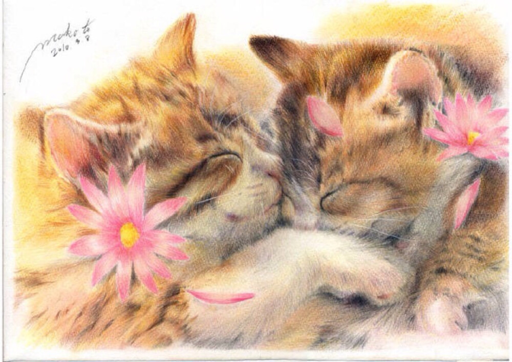 画师笔下的喵星人萌~~~要萌哭我了