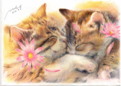 画师笔下的喵星人萌~~~要萌哭我了