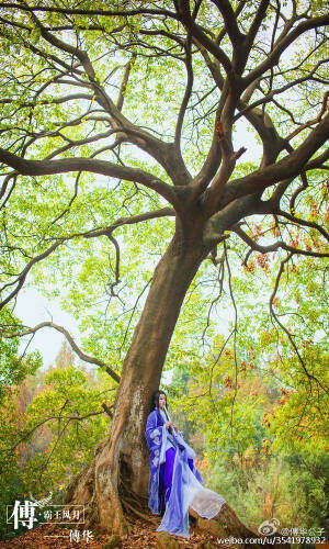  #cos正片# #古风cos# 白露 cn：傅华 化妆：傅华 服装：绝代坊华  摄影：momo 和小江 人设：痕迹画廊