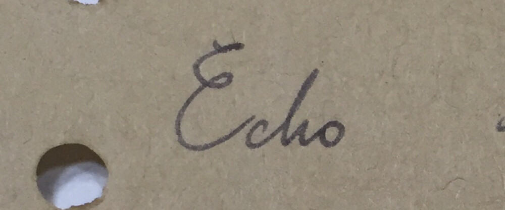 echo