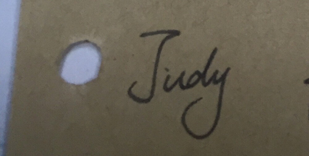 judy