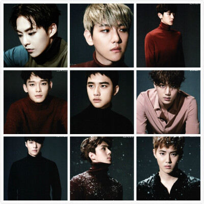 Sing For You官方周边SD Card+贴纸小卡套装 *EXO