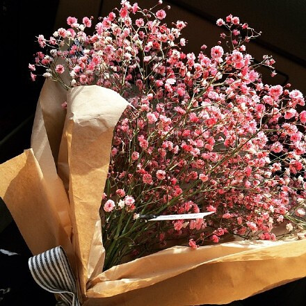 花束 满天星 baby's breath 花簇 植物 鲜花 插花 花朵 花团