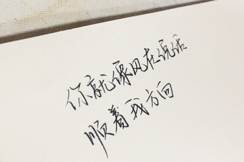 文字为摘抄 手写为原创 治愈 爱情 青春 励志 手写 文字 文艺 古风 歌词