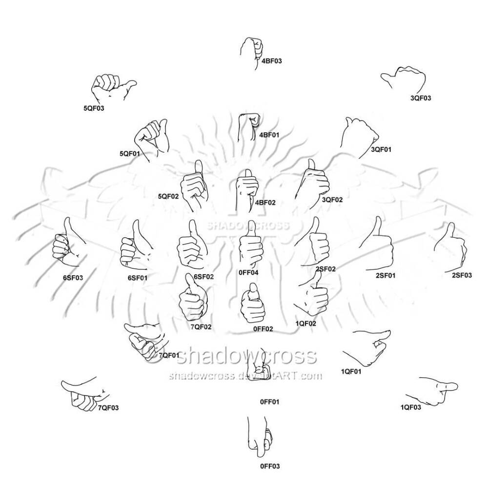 搬运——手的360℃画法大全