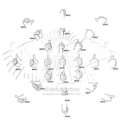 搬运——手的360℃画法大全