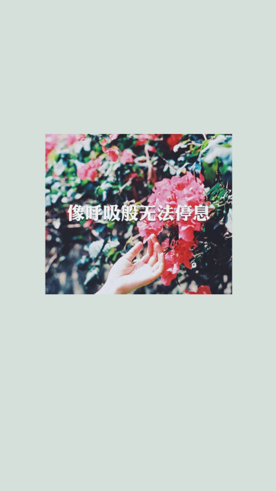 歌词壁纸❤周杰伦《退后》