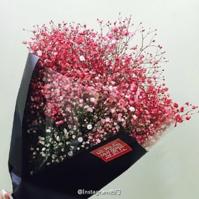 花束 满天星 baby's breath 花簇 植物 鲜花 插花 花朵 花团